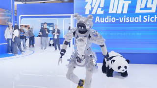 国产ww久久久久久久久久
